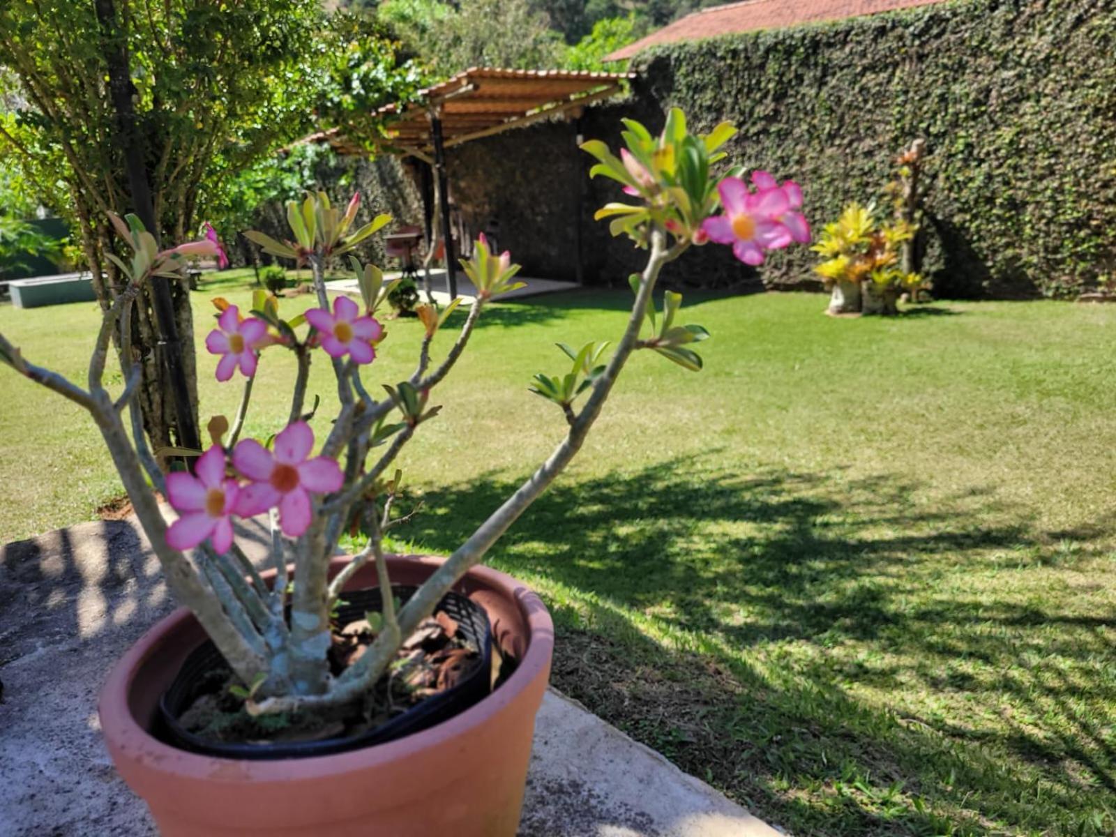 Villa Terracotta ミゲウ・ペレイラ エクステリア 写真